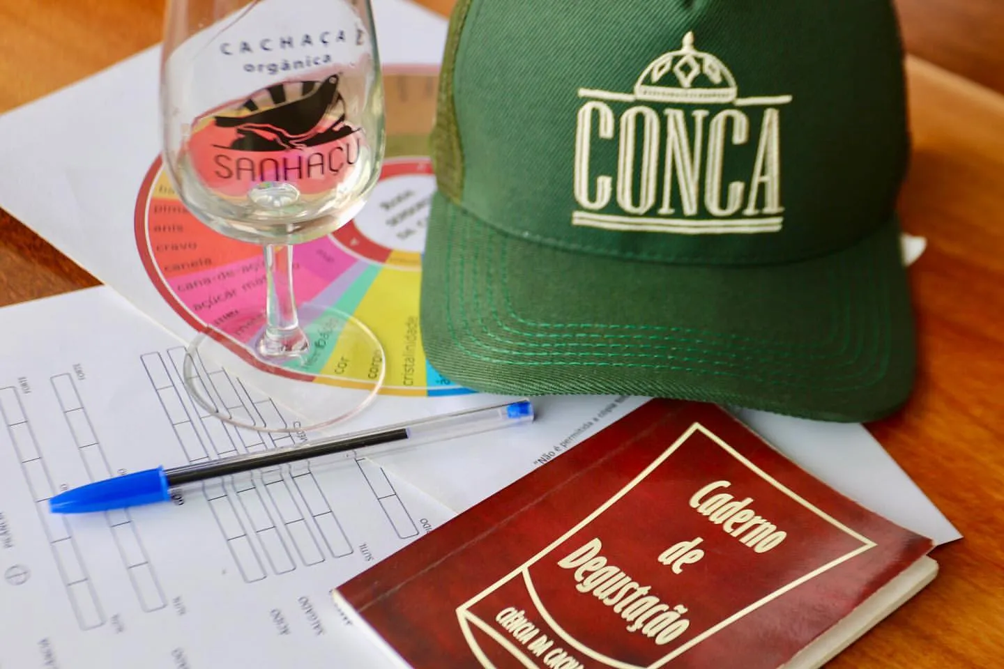 Encontro CONCA